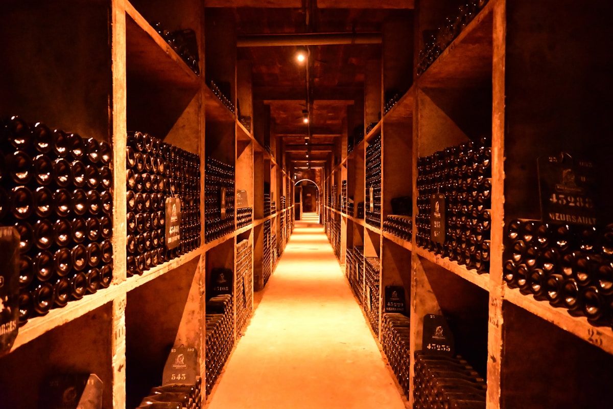 Cave à vins, sélection rigoureuse